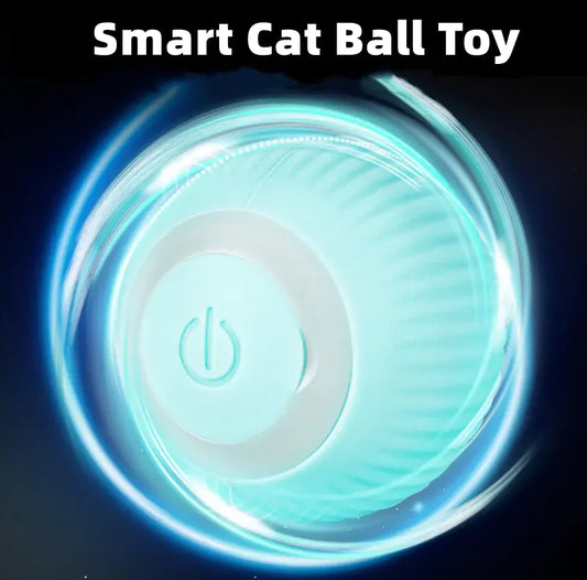 Cat Ball Toys